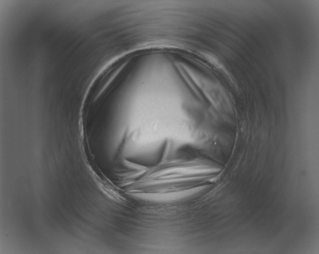 X0000067331372200604211858