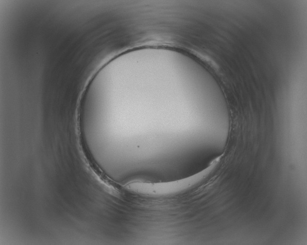 X0000067331375200604211858