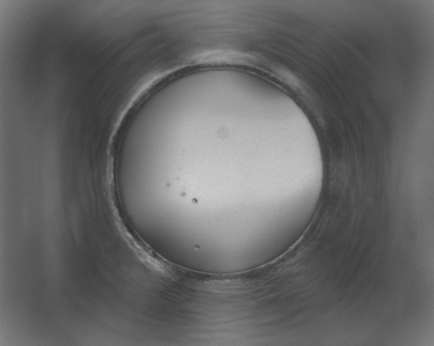 X0000067331376200604211858
