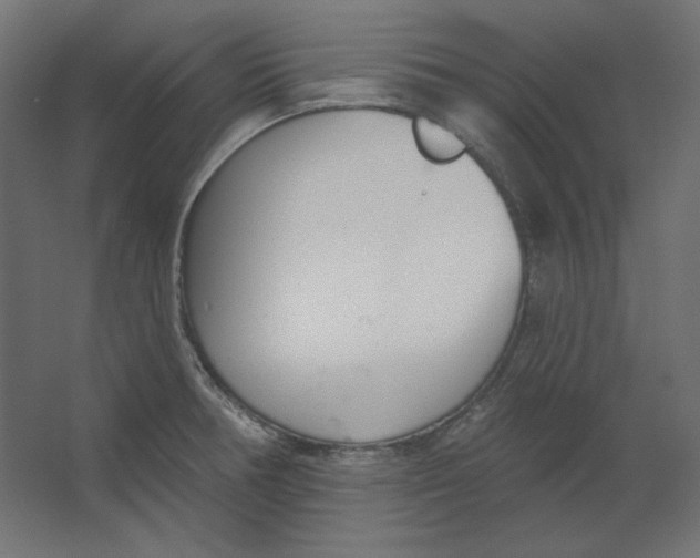 X0000067331378200604211858