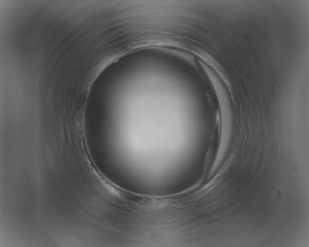 X0000067331385200604211858