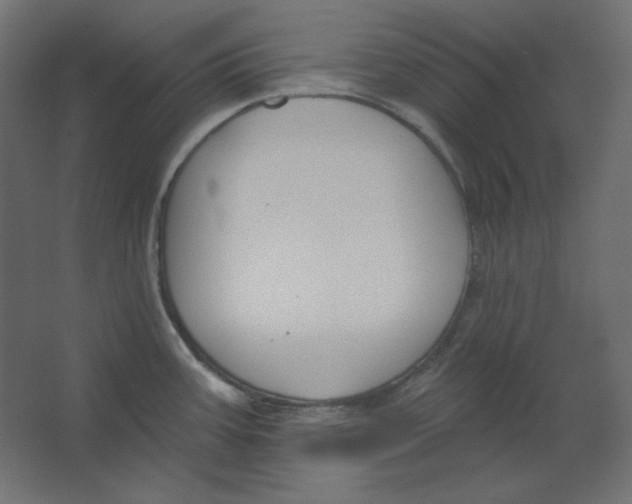X0000067331387200604211858
