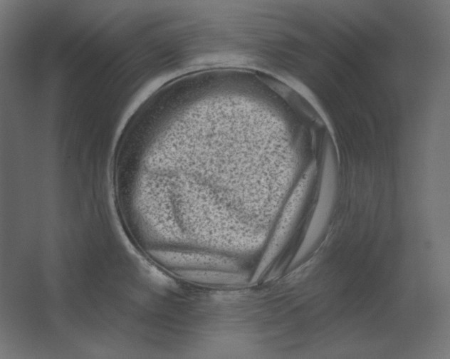 X0000067331389200604211858