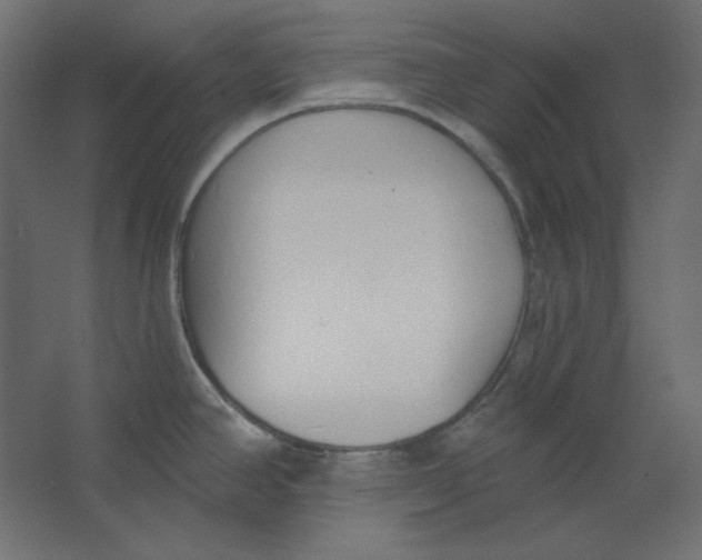 X0000067331390200604211858