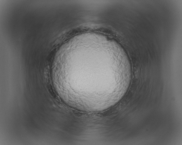 X0000067331397200604211857