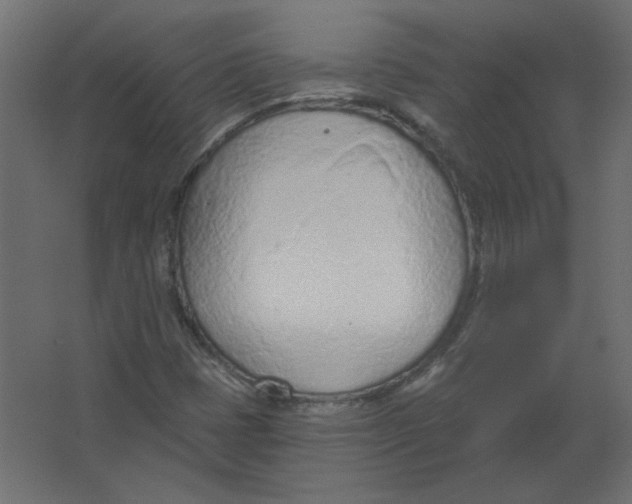 X0000067331401200604211857