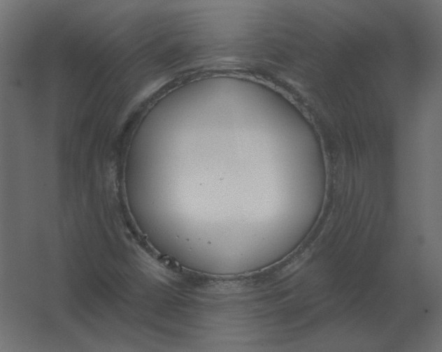 X0000067331402200604211857