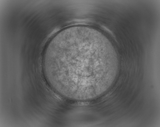 X0000067331411200604211857
