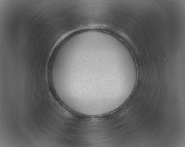 X0000067331412200604211857