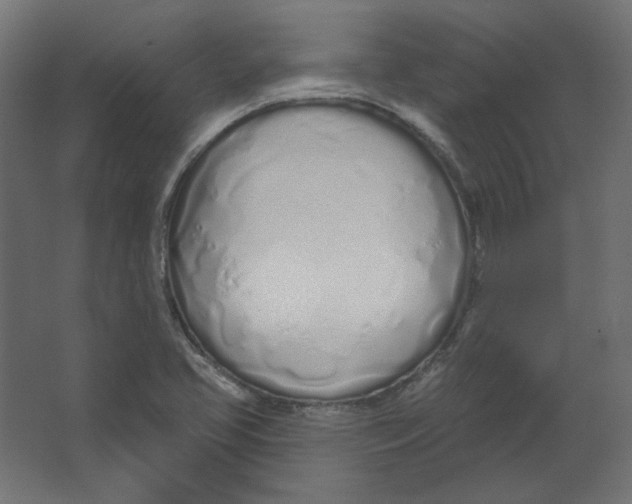 X0000067331413200604211857