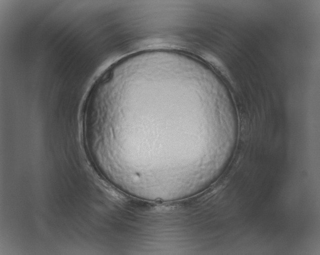 X0000067331419200604211858