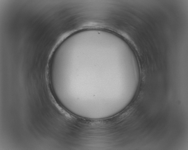X0000067331421200604211858