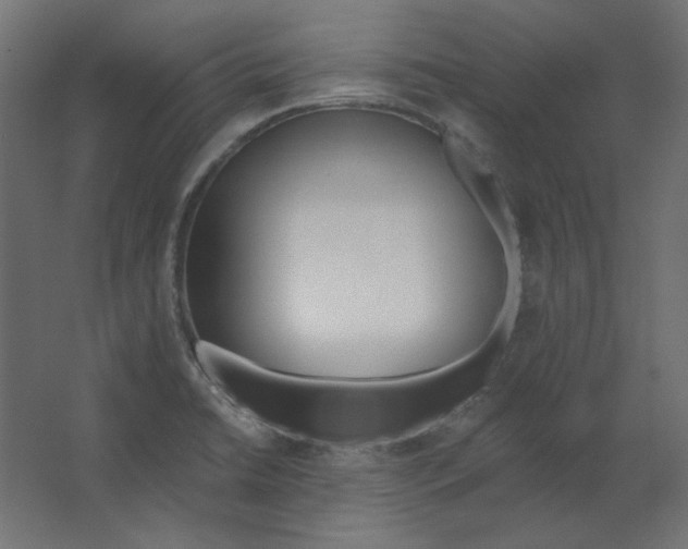 X0000067331422200604211858