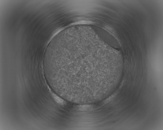 X0000067331425200604211858