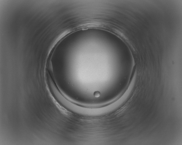 X0000067331426200604211858