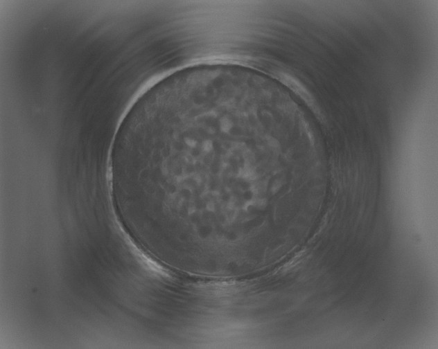X0000067331428200604211858