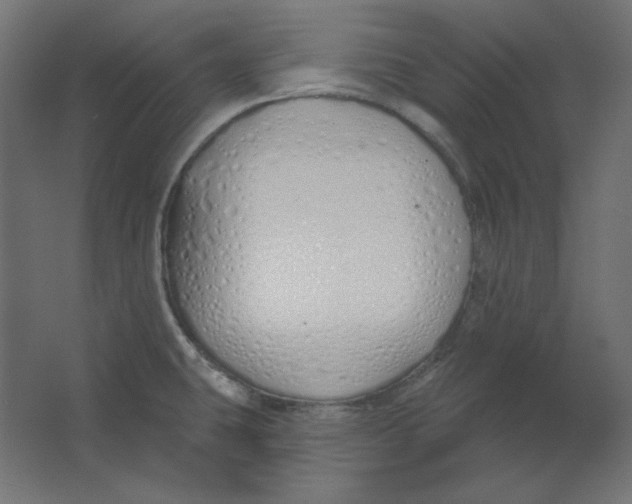 X0000067331431200604211858
