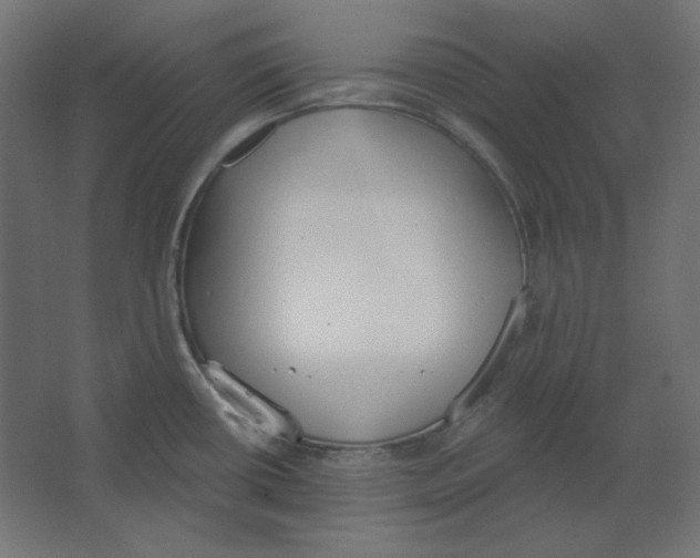 X0000067331434200604211858