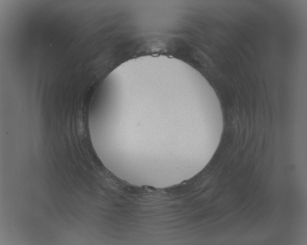X0000067331442200604211857