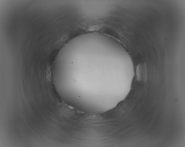 X0000067331443200604211857