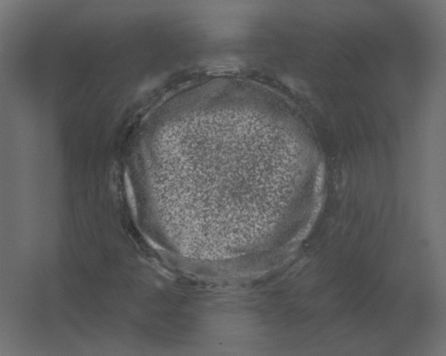 X0000067331445200604211857