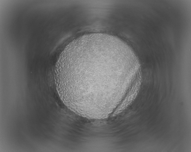 X0000067331446200604211857
