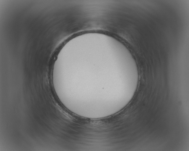X0000067331452200604211857