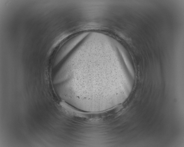 X0000067331453200604211857