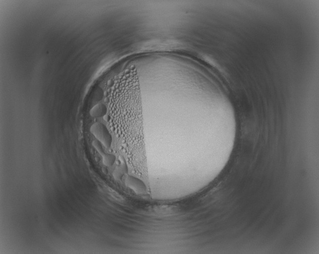 X0000067331459200604211857