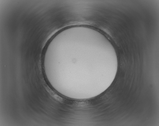 X0000067331460200604211857