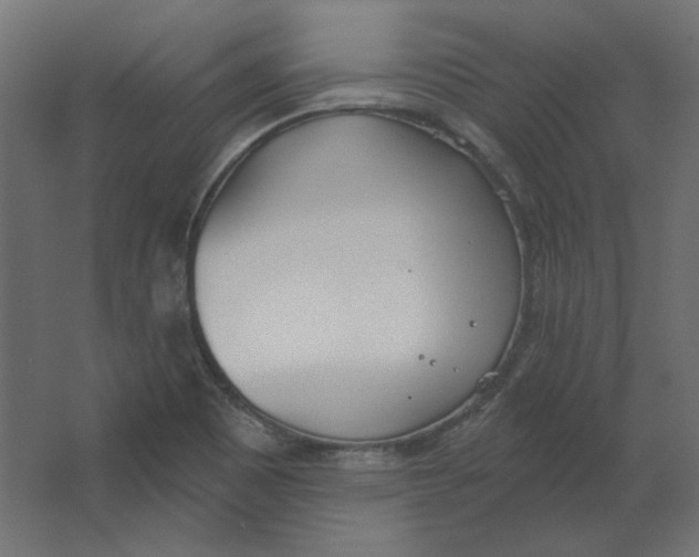 X0000067331465200604211857