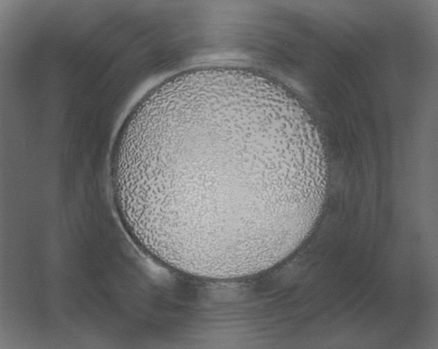 X0000067331470200604211857