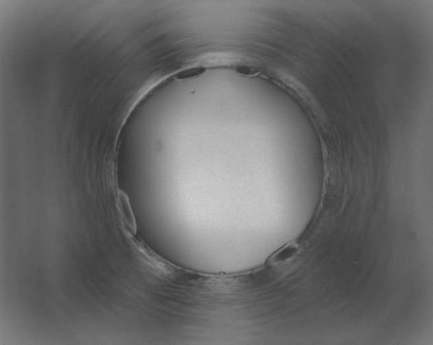 X0000067331473200604211857
