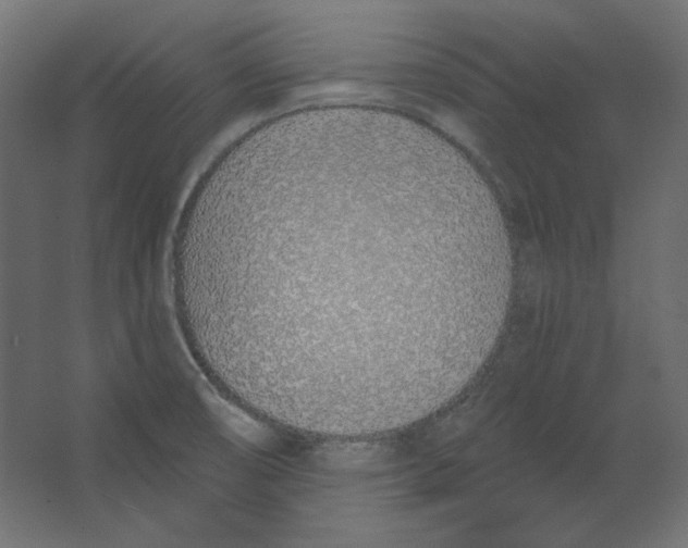 X0000067331474200604211857