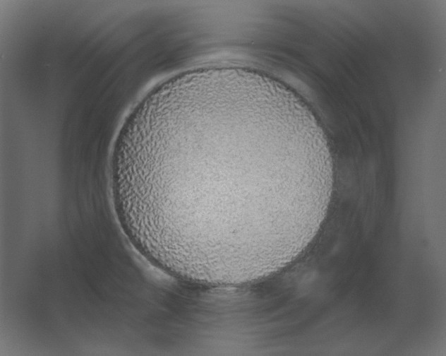 X0000067331478200604211857