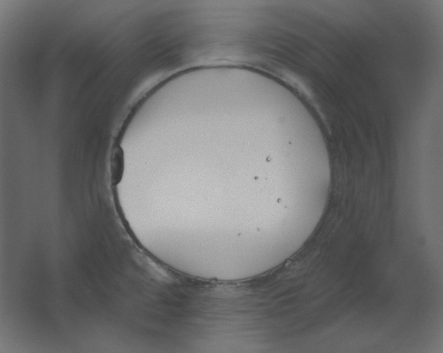 X0000067331480200604211856