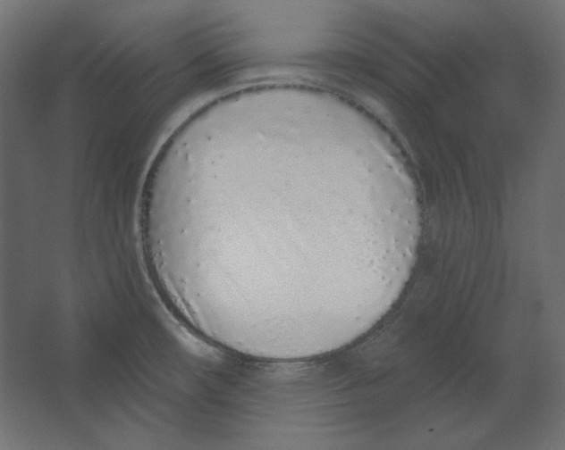 X0000067331482200604211856