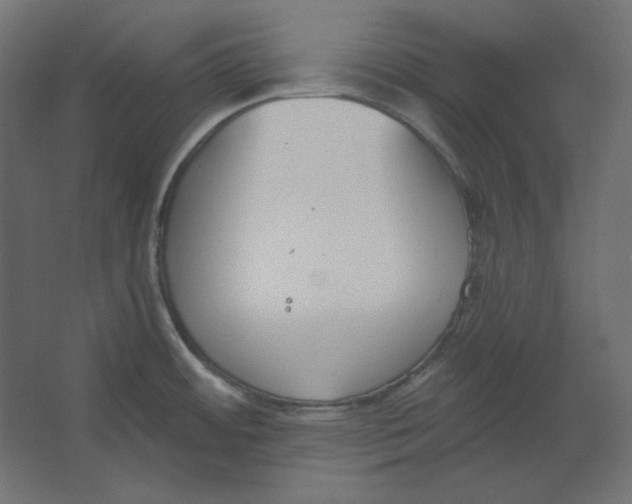 X0000067331484200604211856