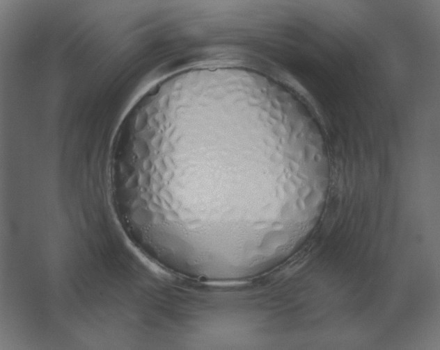 X0000067331487200604211856