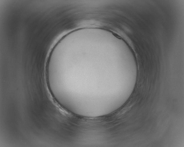 X0000067331488200604211856