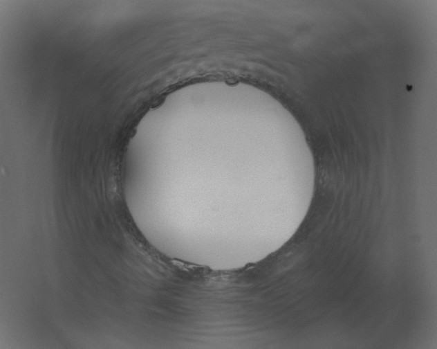 X0000067331490200604211856