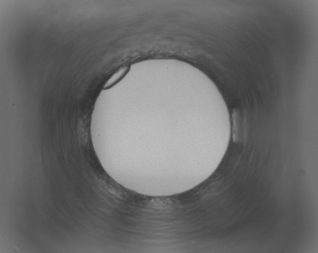 X0000067331491200604211856