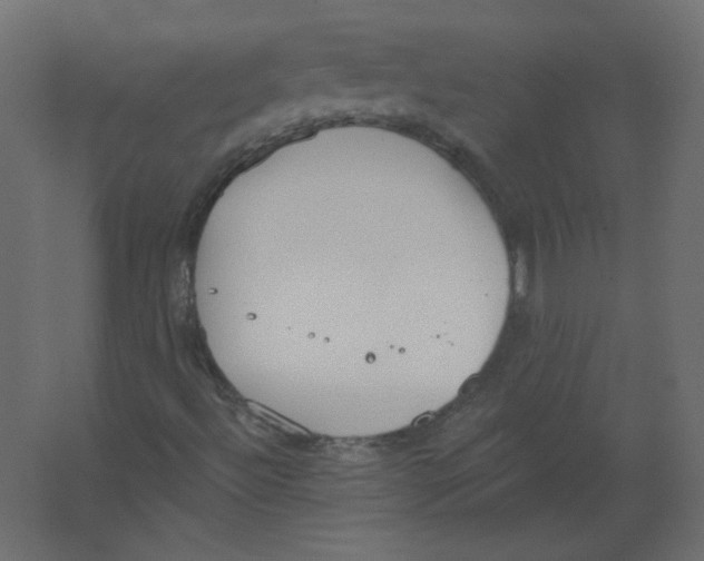 X0000067331492200604211856