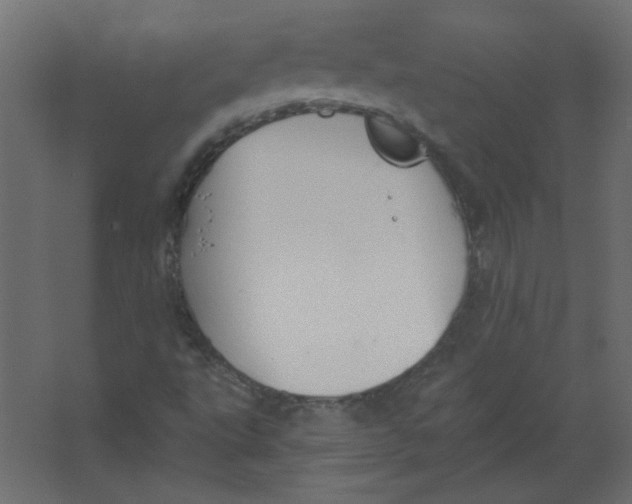 X0000067331495200604211856