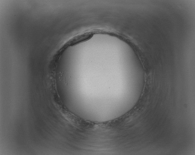 X0000067331496200604211856