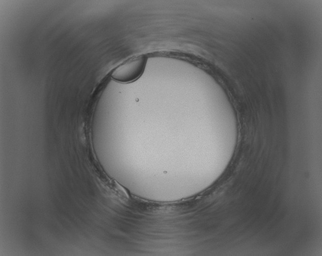 X0000067331497200604211856