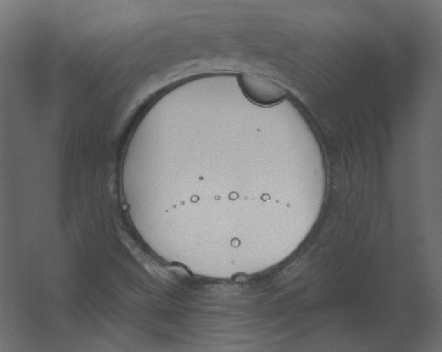 X0000067331499200604211856