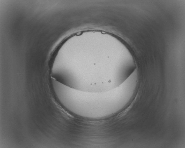 X0000067331502200604211856