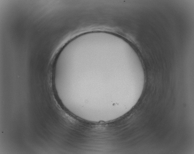 X0000067331504200604211856