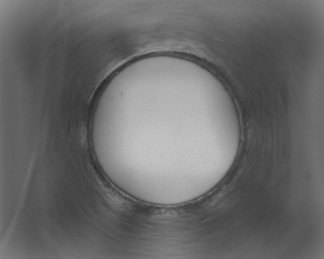 X0000067331505200604211856